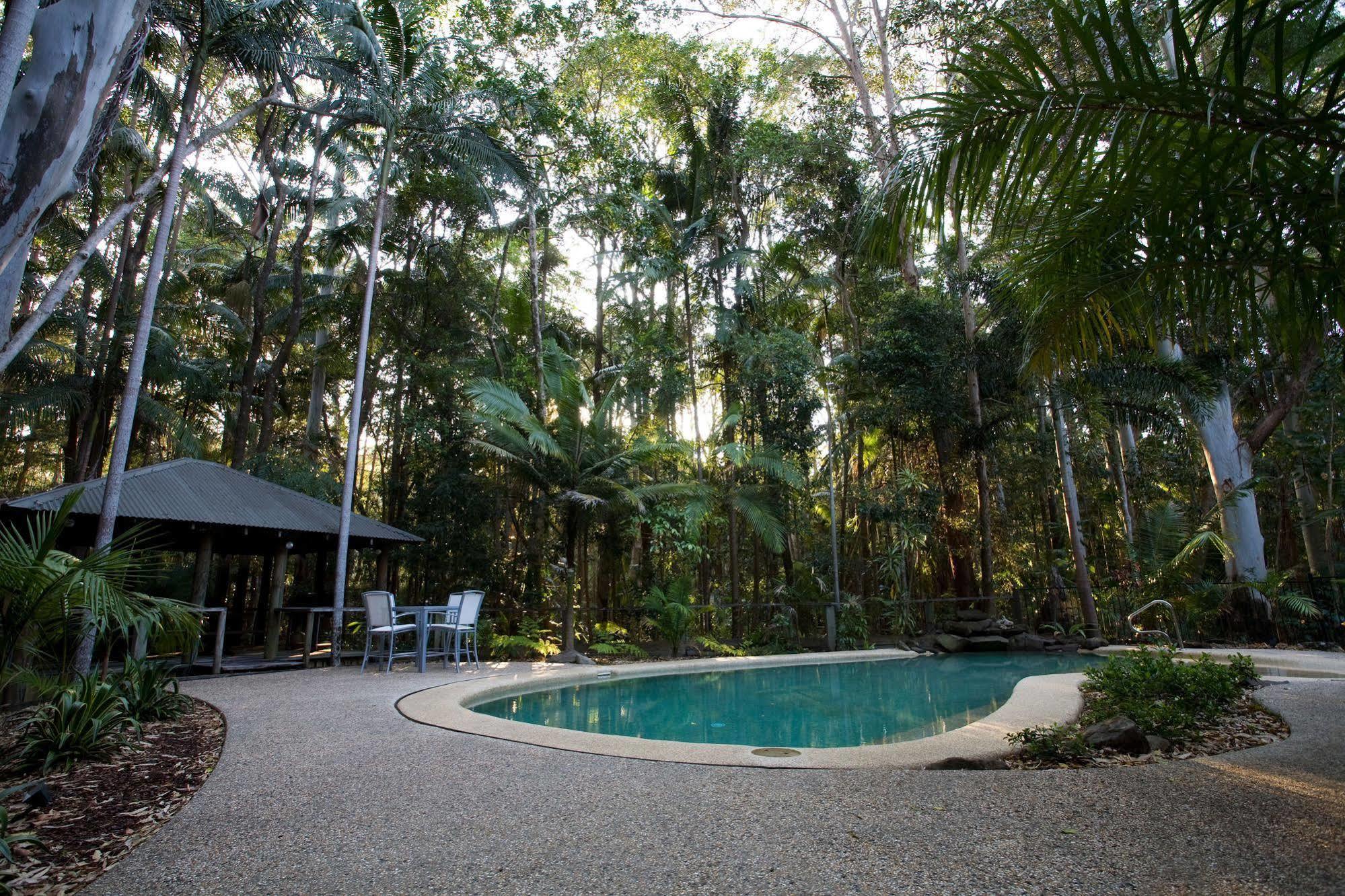 Amore On Buderim Rainforest Cabins Sunshine Coast Eksteriør billede